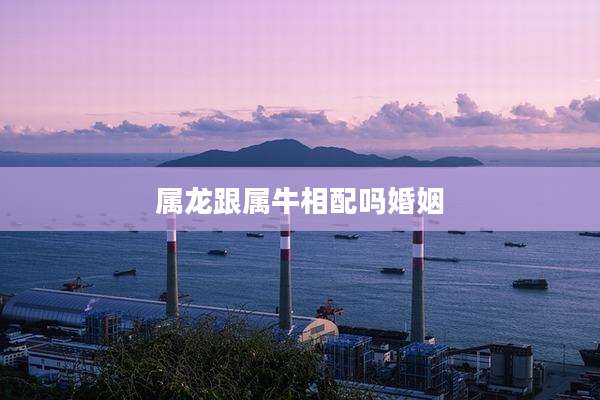 属龙跟属牛相配吗婚姻
