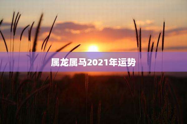 属龙属马2021年运势