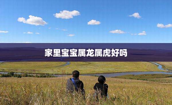 家里宝宝属龙属虎好吗