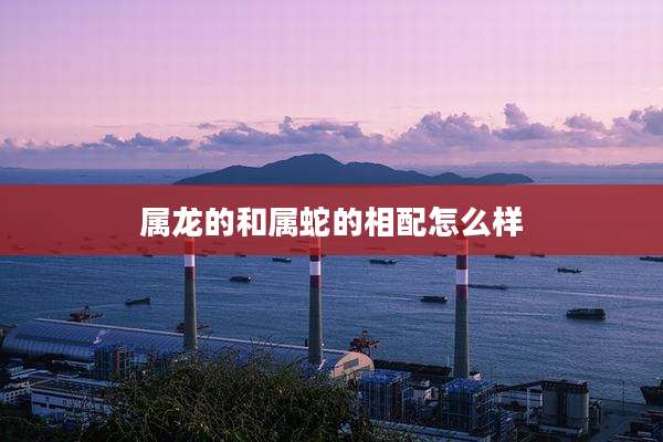 属龙的和属蛇的相配怎么样