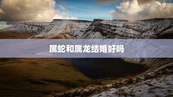 属蛇和属龙结婚好吗