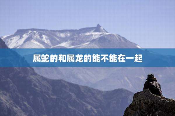 属蛇的和属龙的能不能在一起