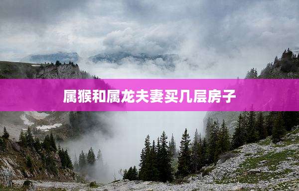 属猴和属龙夫妻买几层房子