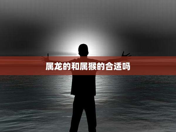 属龙的和属猴的合适吗