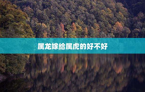 属龙嫁给属虎的好不好
