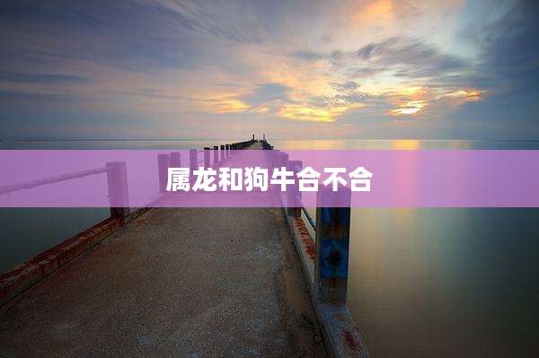 属龙和狗牛合不合