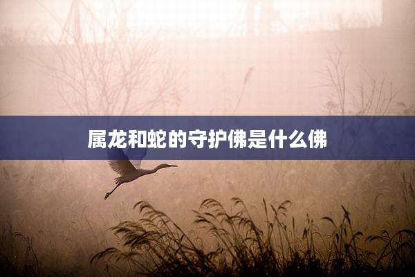 属龙和蛇的守护佛是什么佛