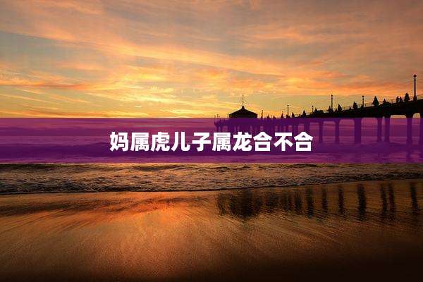 妈属虎儿子属龙合不合