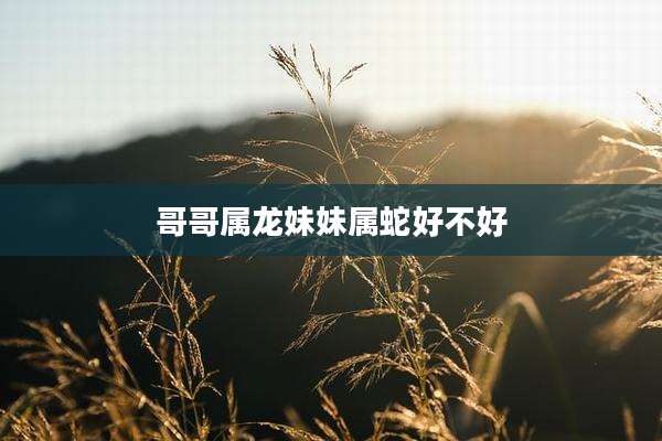 哥哥属龙妹妹属蛇好不好