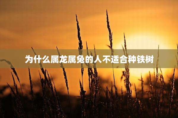 为什么属龙属兔的人不适合种铁树