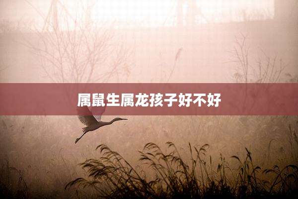 属鼠生属龙孩子好不好