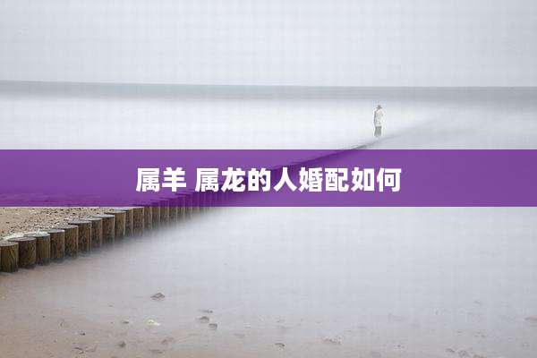 属羊 属龙的人婚配如何