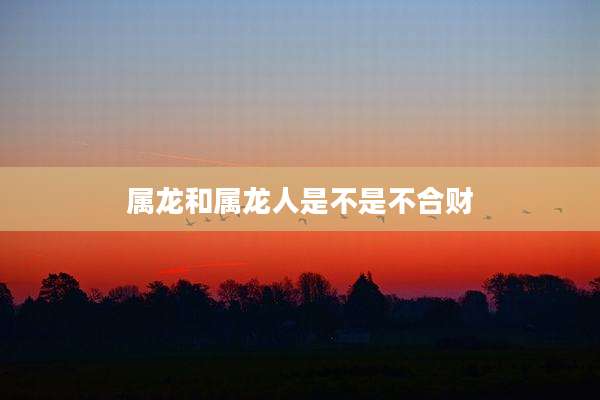 属龙和属龙人是不是不合财