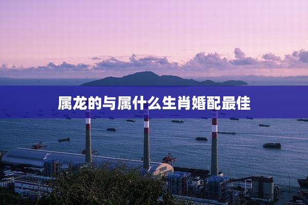 属龙的与属什么生肖婚配最佳