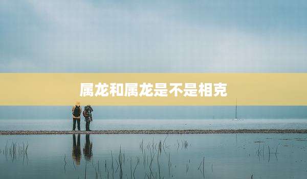 属龙和属龙是不是相克