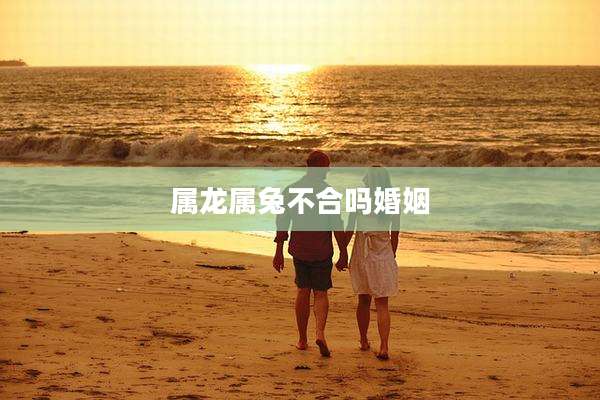 属龙属兔不合吗婚姻