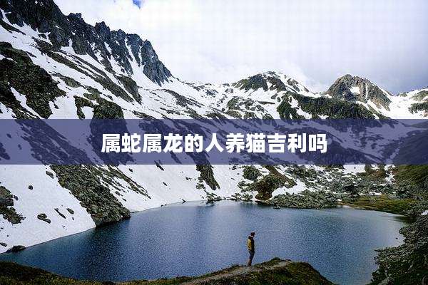 属蛇属龙的人养猫吉利吗