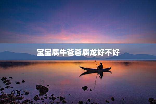 宝宝属牛爸爸属龙好不好