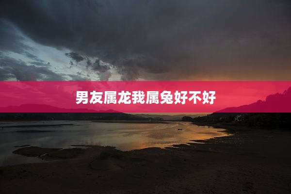 男友属龙我属兔好不好