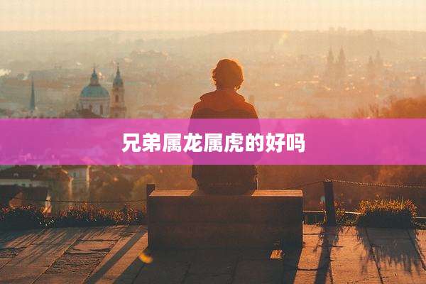 兄弟属龙属虎的好吗