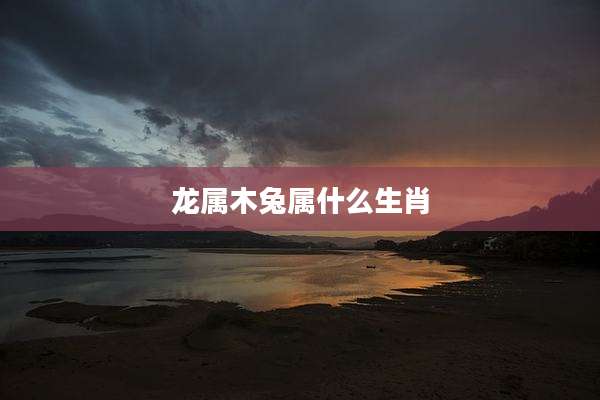 龙属木兔属什么生肖