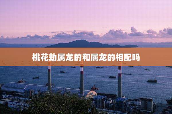 桃花劫属龙的和属龙的相配吗
