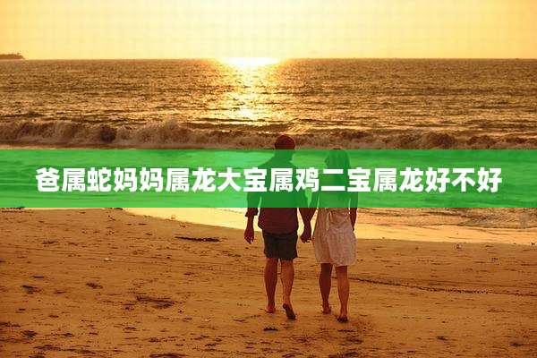 爸属蛇妈妈属龙大宝属鸡二宝属龙好不好