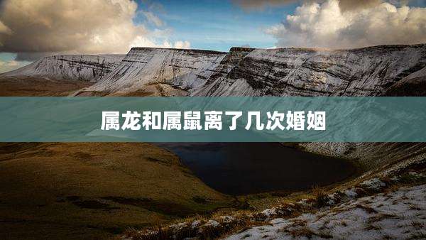 属龙和属鼠离了几次婚姻