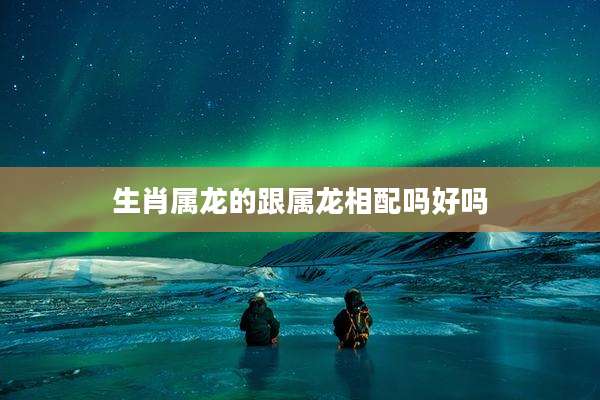 生肖属龙的跟属龙相配吗好吗