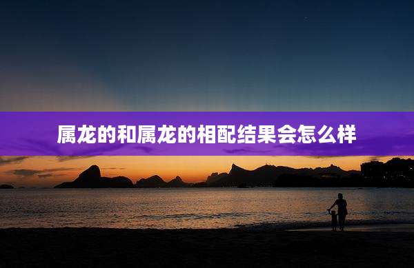 属龙的和属龙的相配结果会怎么样