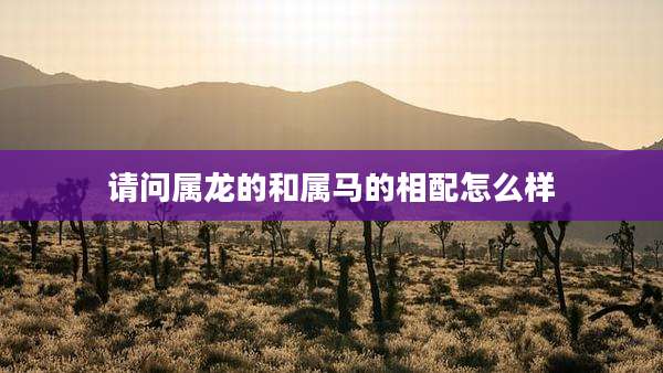 请问属龙的和属马的相配怎么样