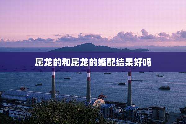 属龙的和属龙的婚配结果好吗