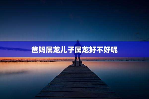 爸妈属龙儿子属龙好不好呢