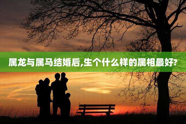 属龙与属马结婚后,生个什么样的属相最好?