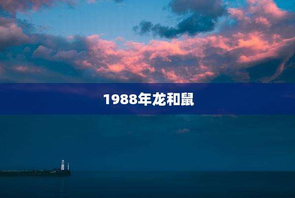 1988年龙和鼠