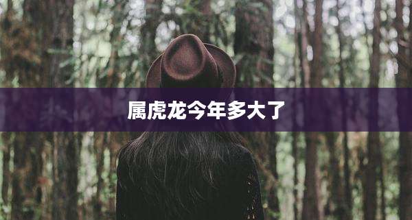 属虎龙今年多大了