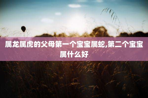 属龙属虎的父母第一个宝宝属蛇,第二个宝宝属什么好