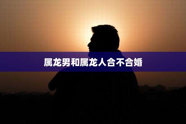 属龙男和属龙人合不合婚
