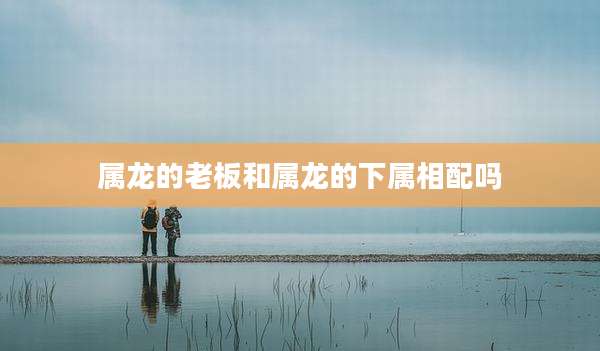 属龙的老板和属龙的下属相配吗