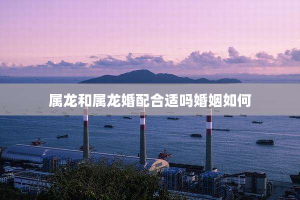 属龙和属龙婚配合适吗婚姻如何