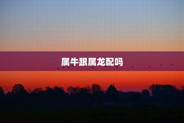 属牛跟属龙配吗