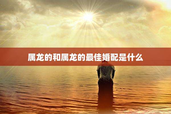 属龙的和属龙的最佳婚配是什么