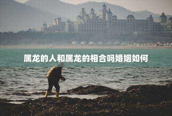 属龙的人和属龙的相合吗婚姻如何