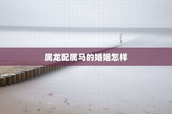 属龙配属马的婚姻怎样