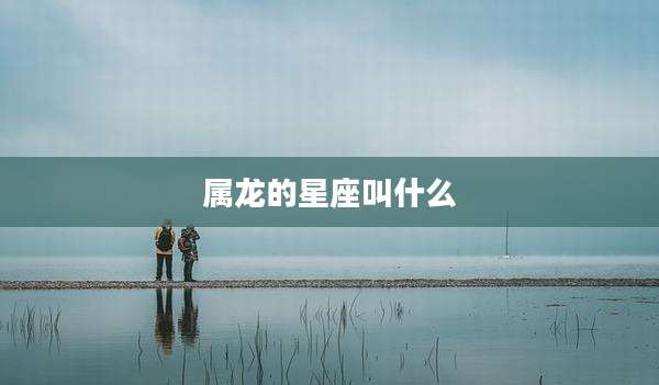 属龙的星座叫什么
