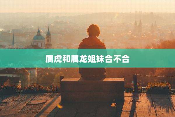属虎和属龙姐妹合不合