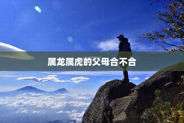 属龙属虎的父母合不合