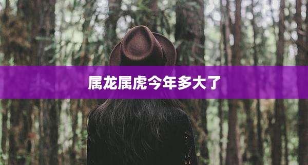 属龙属虎今年多大了