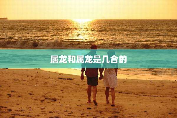 属龙和属龙是几合的