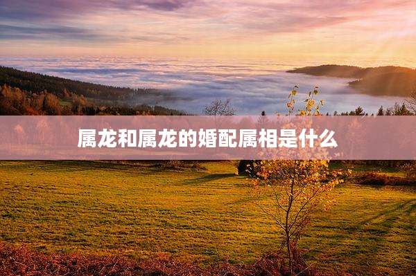 属龙和属龙的婚配属相是什么